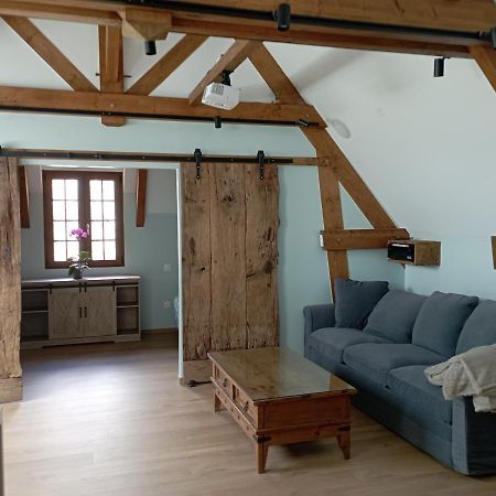 Apartament Entre Galets Sauveterre-de-Bearn Zewnętrze zdjęcie