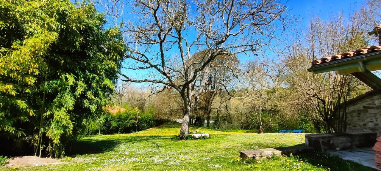 Apartament Entre Galets Sauveterre-de-Bearn Zewnętrze zdjęcie