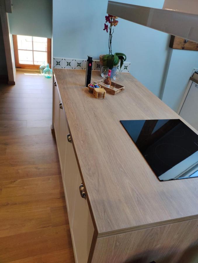 Apartament Entre Galets Sauveterre-de-Bearn Zewnętrze zdjęcie